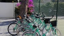 bicycles available to customers